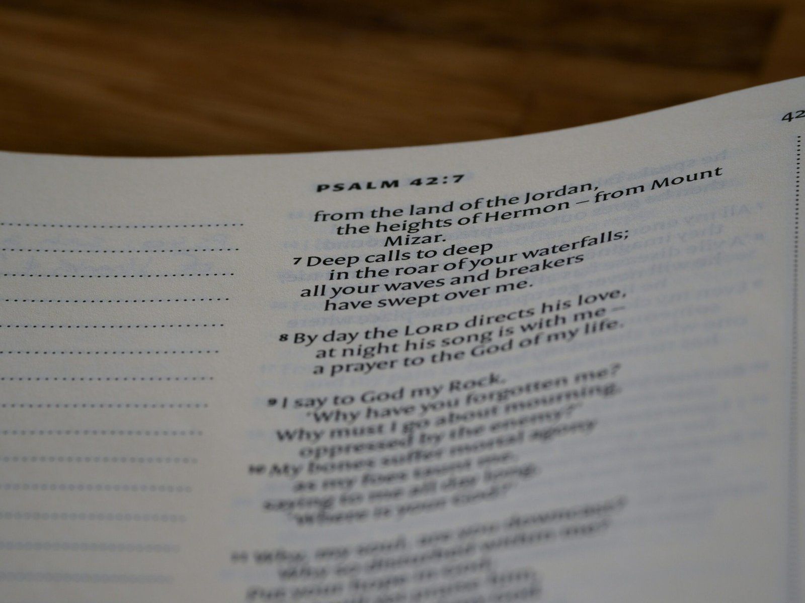 Daily Reflections: Embrace the Peace of Today